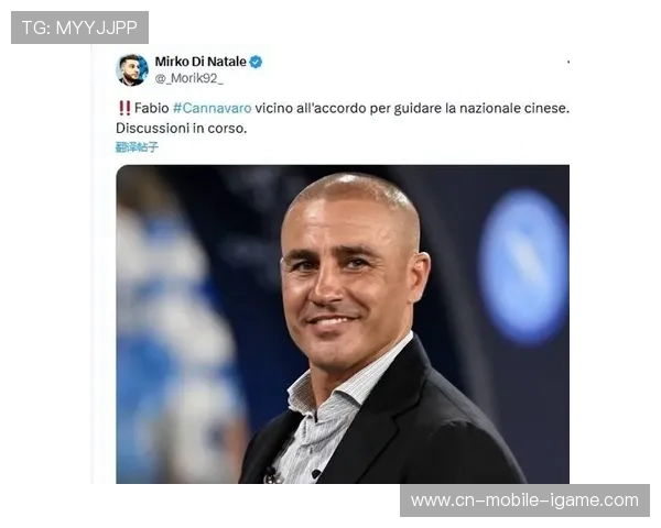法比奥卡纳瓦罗的绿茵传奇从铁血后卫到世界足球先生的辉煌旅程
