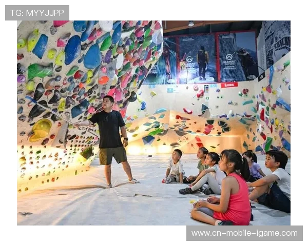 成都攀岩队的意识探讨与发展路径分析攀岩运动的未来展望