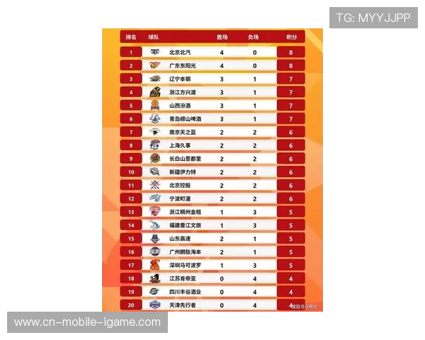 杭州篮球队在世界杯积分榜中以66分稳居第一名展现强劲实力