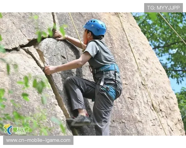 西安攀岩队勇攀高峰的奋斗历程与联赛精彩瞬间回顾
