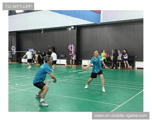 西安羽毛球队在总决赛中的精彩表现与实力分析